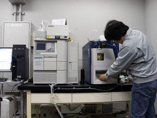 写真：環境汚染有機化学物質分析研修（ＬＣ／ＭＳコース）の様子