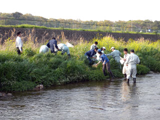 写真：課題分析研修 （底生生物）の様子
