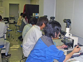 写真：課題分析研修（プランクトン）の様子2