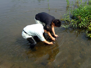 写真：ダイオキシン類環境モニタリング研修（水質コース）の様子1